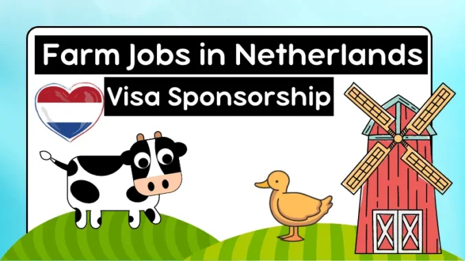 Farm Jobs in Netherlands with Visa Sponsorship 2025 (€10 to